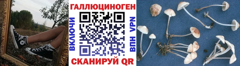 Купить где Советск Псилоцибиновые грибы прущие грибы